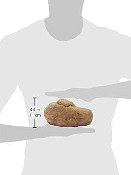 Exo Terra Reptile Den, Hideout Tunnel System for Terrariums, Medium, PT2862