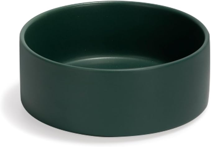 SPUNKYJUNKY 13.5OZ Ceramic Dog and Cat Bowl, Modern Cute Weighted Food Water Bowl for Replacement Green (2 Pack)
