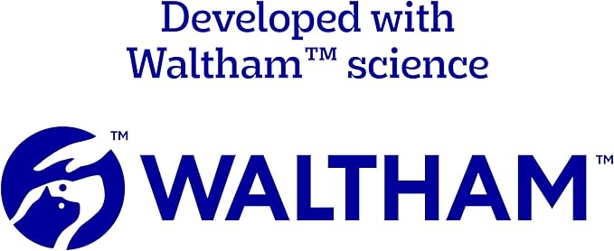 Pedigree Dentastix Large Breed Dog Treats, Bacon Flavor, 2.08 lb. Bag (40 Treats)