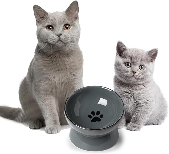 ONTUBE Ceramic Raised Cat Dishes Bowl, Pet Food Bowls,5.3-Inch 10oz (Gray)