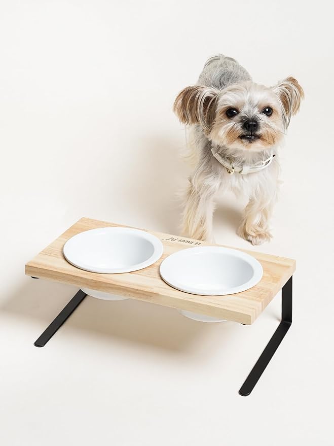 Elevated Dog Bowls, Raised Dog Bowl Stand with Two 5.1 inch Ceramic Bowls, Non-Slip Cat Food and Water Dish for Small and Medium Breed, White