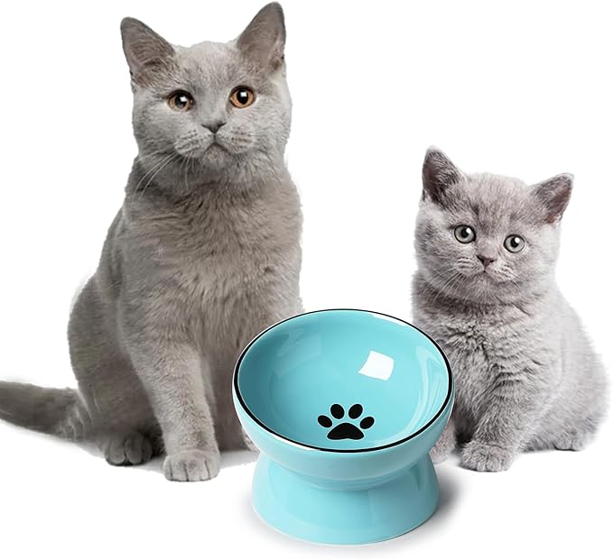 ONTUBE Ceramic Raised Cat Dishes Bowl, Pet Food Bowls,5.3 Inch 10 oz (Blue)