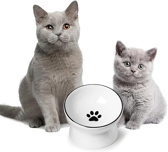 ONTUBE Ceramic Raised Cat Dishes Bowl, Pet Food Bowls,5.3 Inch 10 oz (White)