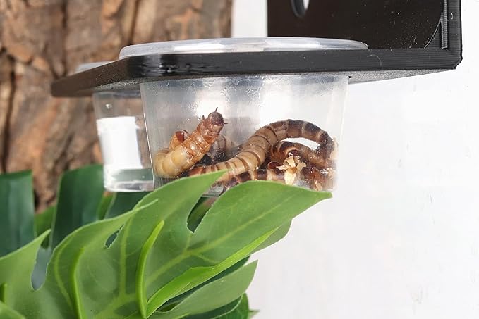 100Pieces 1oz Crested Gecko Food Cups