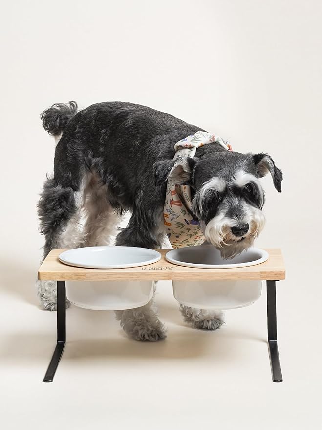 Elevated Dog Bowls, Raised Dog Bowl Stand with Two 6.5 inch Ceramic Bowl, Non-Slip Puppy Food and Water Bowls, Dogs Feeder for Small and Medium Breed, White