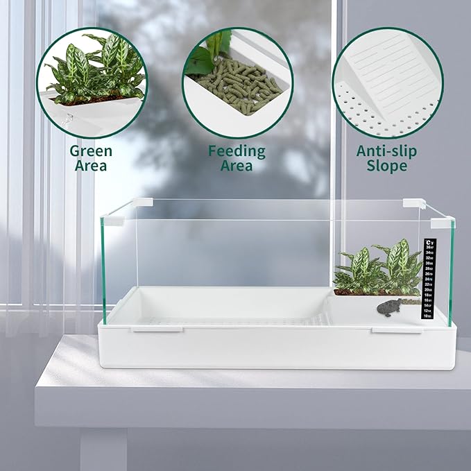 BETAZOOER Turtle Tank with Adjustable Water Pump Filter, Full View Visually Tortoise Aquarium Habitat, Glass Material Easy Changing Water&Clean for Small Amphibious Creatures Reptiles 15.7"×11.8"×10"