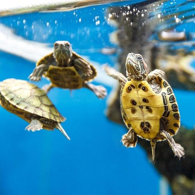 Aquarium Filter Cartridge for Whisper Bio Bag Power Filters, 6 Pack Assembled Large Filter Cartridges for Repto Filter