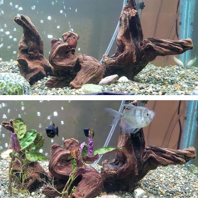 Hamiledyi Aquarium Driftwood 3PCS Natural Trunk Driftwood Assorted Branches 8-12" Reptile Wood Decor Terrarium Ornament Fish Tank Decoration