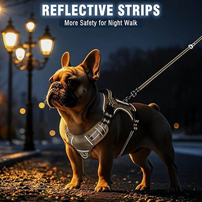 Tactical Dog Harness and Leash Set Medium Sized Dog,Heavy Duty No Pull Service Dog Vest and 10 Patches with Dog Seat Belt,Reflective Adjustable Pet Harness for Training Walking Hiking Brown M