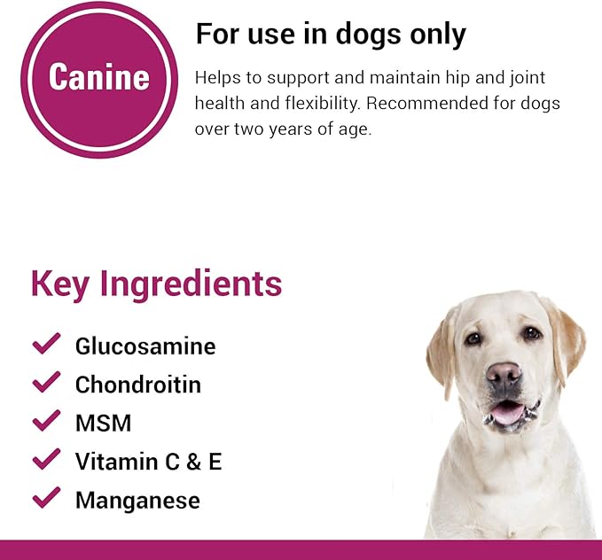 Vet Classics GCM Plus Hip & Joint Support Dog Supplement – Includes MSM, Chondroitin, Glucosamine – Supports Healthy Joints, Flexible Hips in Dogs – Chewable Tablets 120 Ct.