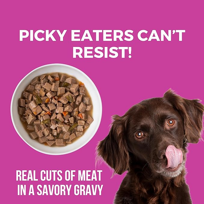 KOHA Santa Fe Skillet Stew for Dogs with Beef and Pork, High Protein Wet Dog Food, 12.7oz Cans (Case of 12)