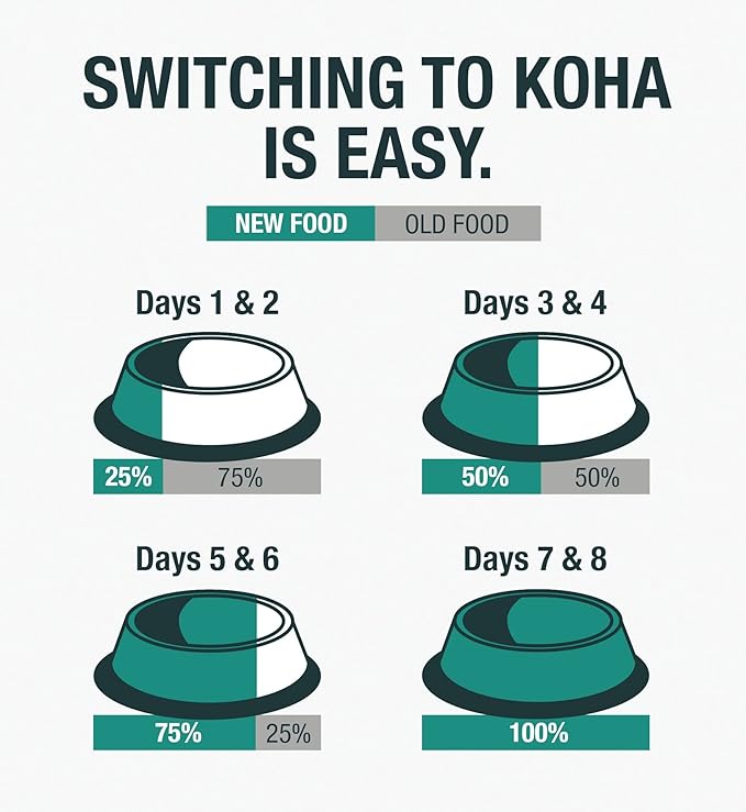 KOHA Limited Ingredient Diet Duck Entrée for Dogs - Sensitive Stomach Canned Dog Food - High Protein, No Fillers Pate Dog Food - 13 oz Pack of 12