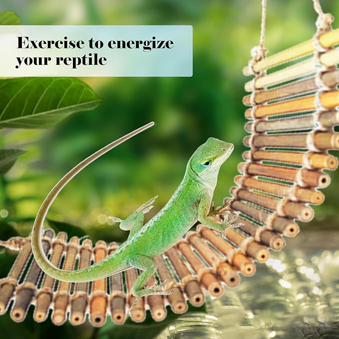 kathson Reptile Bridge for Terrarium,Bearded Dragon Wooden Bridges Gecko Hammock with Hanging Plants Lizard Lounger Bamboo Ladder Reptiles Tank Accessories Climbing for Chameleons Geckos Snakes (3Pcs)