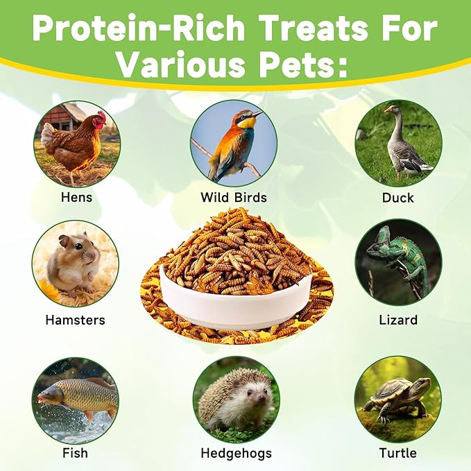 9LB Dried Black Soldier Fly Larvae Treat for Chicken, 100% Natural Non-GMO More Calcium Than Dried Mealworms High Protein Chicken Feed for Birds, Ducks, Layer Hens