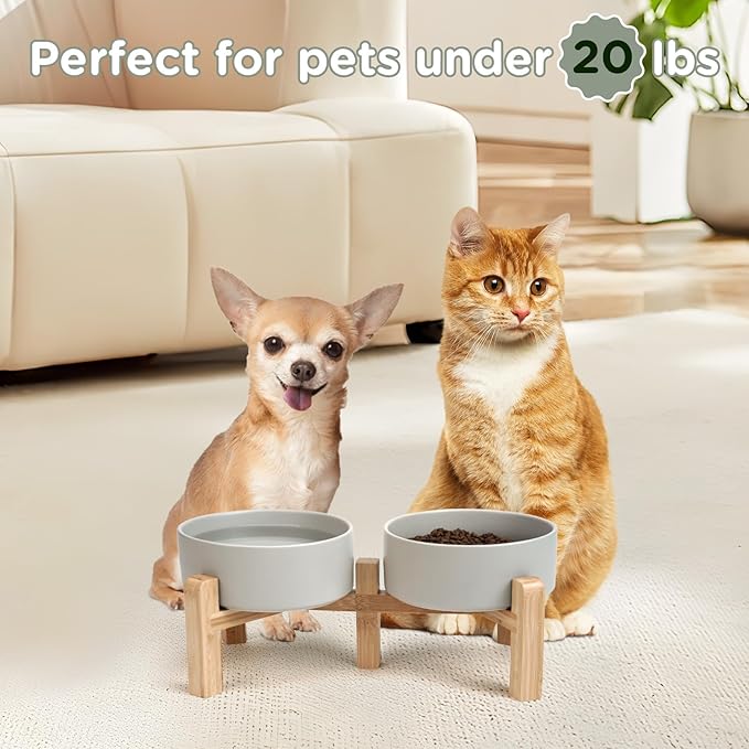 SPUNKYJUNKY Elevated Dog Bowls Ceramic, 5.1'' Dogs and Cat Food Water Bowls Raised with Non-Slip Bamboo Stand for Puppy Small Sized Breed Microwave Dishwasher Safe - 13.5 OZ,Grey