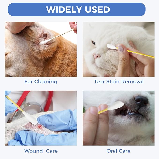 GOLD HONEY 6 Inch Large Cotton Swabs, 200PCS Dog Ear Swabs with Bamboo Handle for Dogs, Pet-Specific, Gentle Design, Lint-Free, Canine Cotton Stick Ear Cleaning
