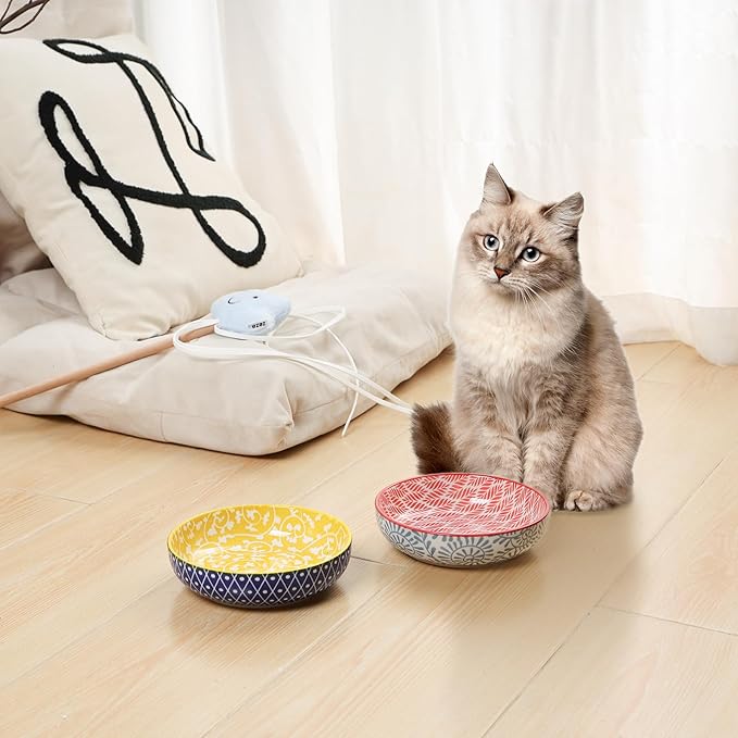 Selamica Ceramic Cat Food Bowl Set of 4, 5.6 Inch Wide Shallow Cat Bowls/Dishes for Food and Water, Assorted Colors