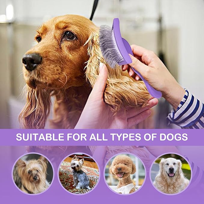 Dog Slicker Brush for Golden Doodle Grooming Kit - Dematting Brushes for Goldendoodles, Labradoodles, Poodles - Pet Hair Brush for Medium & Long Haired Dogs - Large (Purple)