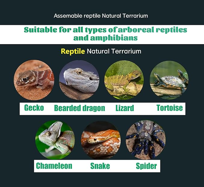 Woyrise 5Pcs Reptile Feeding Kit, 3Pcs Stainless Steel Feeding Tongs, Rubber Tipped Soft Tweezers, Bug Feeder Cricket Clamp, 2Pcs Reptile Food Dish Water Bowl for Reptiles,Gecko,Bearded Dragon, Spider