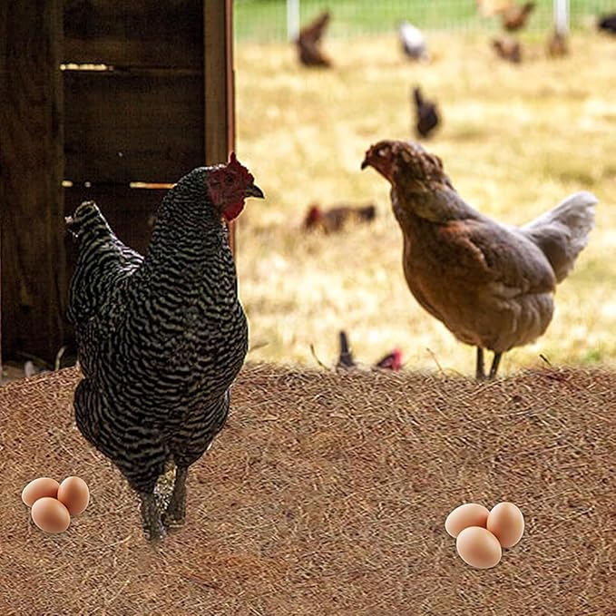 10Pcs Reptile Substrate Mat Carpet Chicken Nest Mat 30 * 30cm Natural Coconut Fiber Pet Mat Substrate Liner Terrarium Planter Liner for Lizard Turtle Snake Gecko Bearded Dragon Tortoise