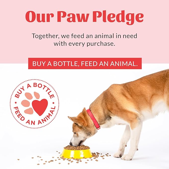 SKOUT'S HONOR Pet Dental Wipes - Fights Plaque and Tartar, Freshens Breath Fast, No Brushing Required, 50 Sheets, 2-Pack