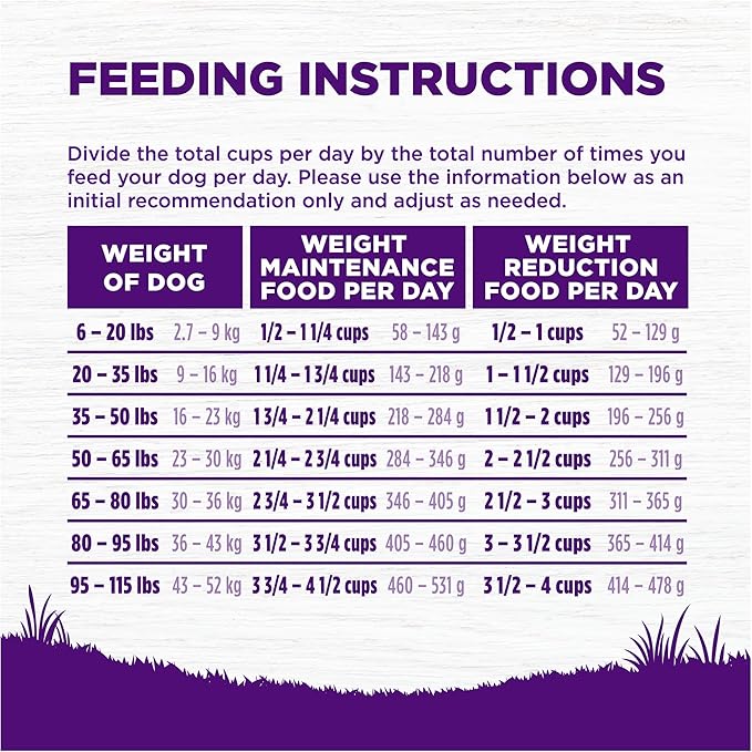 Wellness Complete Health Sensitive Skin & Stomach Dry Dog Food, Wholesome Grains, Natural, Salmon & Rice Recipe, (24-Pound Bag)