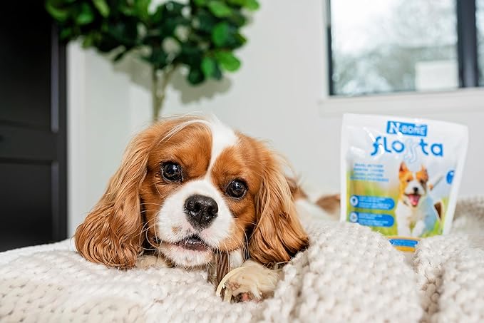 N-Bone FLOSSta Dental Chews for Dogs – Natural Beef Liver Flavor, No Dyes, Grain-Free, Breath Freshening, Plaque & Tartar Control, Digestible Teething Aid – 12 oz Bag