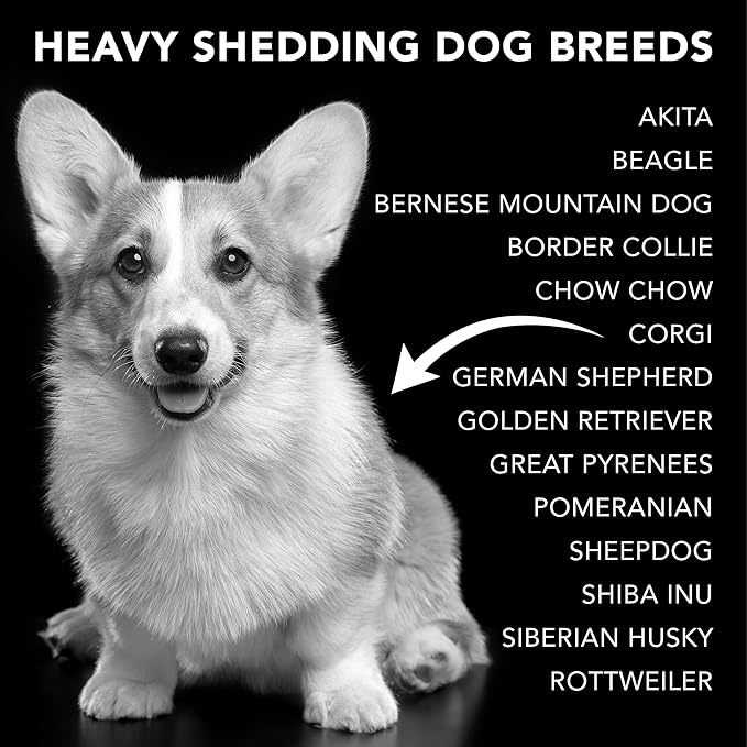 Pride and Groom The Shedder | Dog Deshedding Shampoo | All Natural Body Wash with Essential Oils & Ingredients That Reduce Pet Shedding & Fur Dander for Curly and Wavy Coats – 128oz