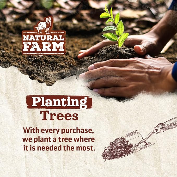 Natural Farm Odor-Free Bully Sticks (4-8”, 8oz) All-Natural Long-Lasting Chews, 100% Beef Pizzle, Grass-Fed, Grain-Free, Hormone-Free, Protein for Muscle Development & Energy, Perfect for Medium Dogs