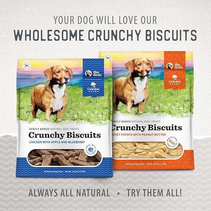 Caledon Farms The Dodo Crunchy Biscuits - Chicken with Apple & Blueberry 19.5oz, Dog Treats, Biscuits