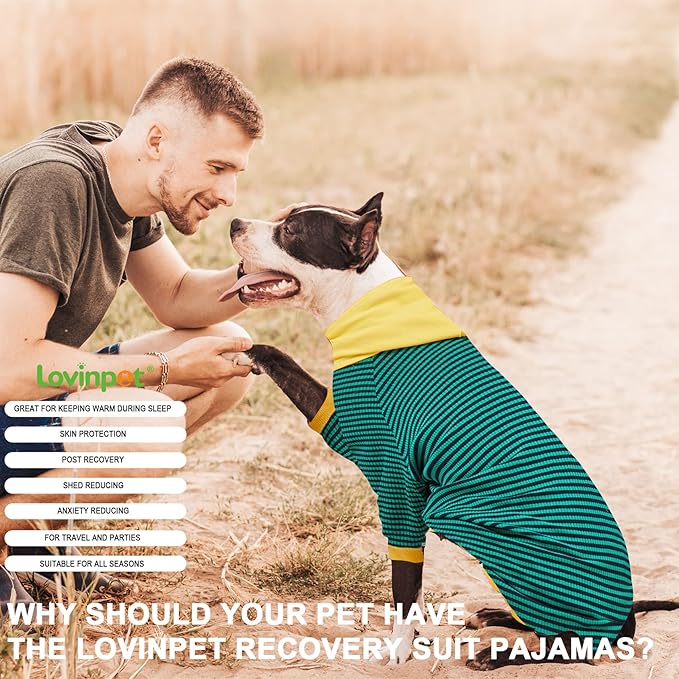 LovinPet Large Dog Pajamas, Cotton Green Stripe Dog Shirt, Pet Pajamas for Dogs, Onesies for Dogs, Stop Shedding for Dogs, Pitbull Shirt, Pet PJ's, XL