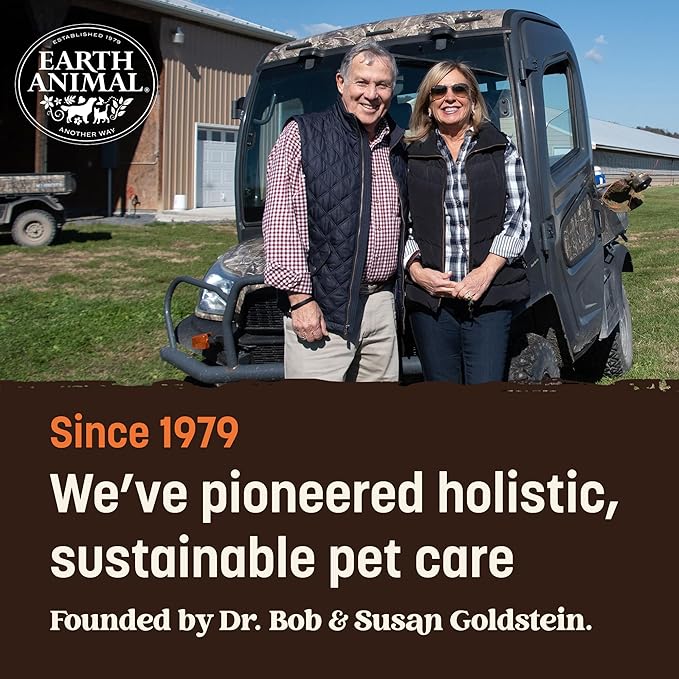 Earth Animal No-Hide Seasonal Stix Pumpkin Spice Recipe Natural Rawhide Alternative Dog & Cat Chews - 20 Count Value Pack