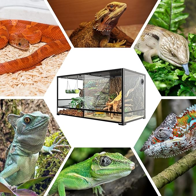 REPTIZOO 120 Gallon Large Reptile Terrarium Tank, 48" x 24" x 24" Front Opening Terrarium Glass Reptile Tank with Screen Ventilation, Supporting Used as 2 Separate Habitats Easy Assembly