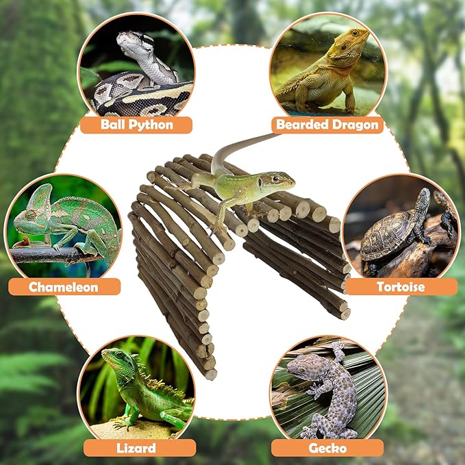 Hamiledyi Extra Large Tortoise Hide Reptile Hiding Cave Turtle Hut Gecko Hideaway Climbing Tunnel Toy Lizard Bendable Wooden Bridge for Adult Bearded Dragon Snake Chameleon Habitat Accessories