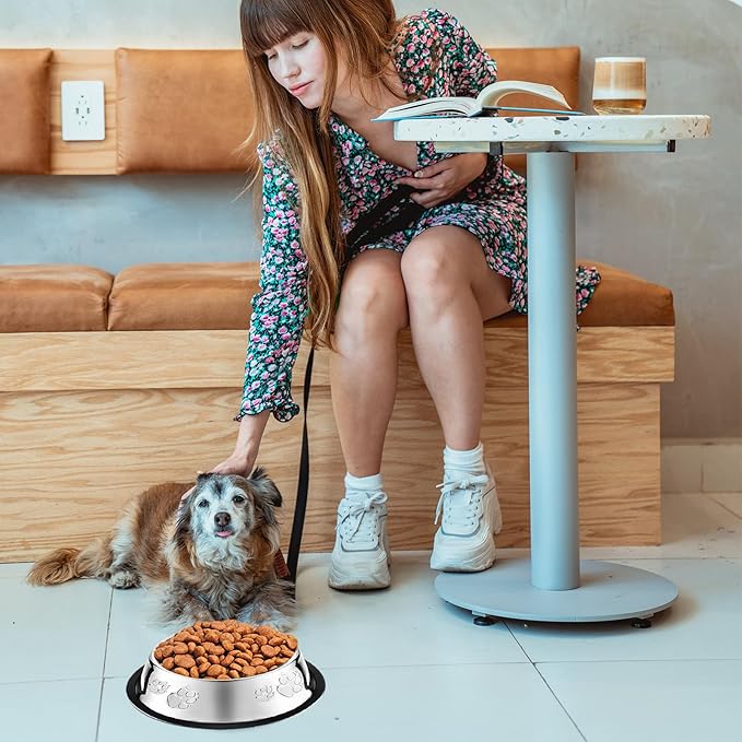 10 Pcs Stainless Steel Dog Bowl Pet Feeding Bowl with Rubber Base Non-Slip Pet Dishes Metal Dog Bowls Pet Food and Water Bowls for Small Medium Animals Kitten Rabbit (30 oz)