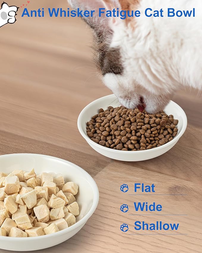 Whisker Fatigue Cat Bowl - Shallow Dishes for Food Ceramic Cat Bowls for Indoor Cats Non-Slip Flat Cats Plates for Wet Food Cute Kitten Bowl Whisker Friendly