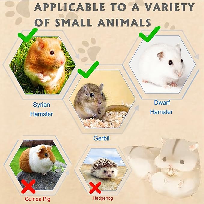 8 in 1 Acrylic Hamster Cage with All Accessories,2-Layer Hamster House with Full Transparent Viewing,Top Open Mouse Cage for Pet Mice,Hamster Habitat for Dwarf Hamster,Gerbils;18.5"x11.8"x14.6"