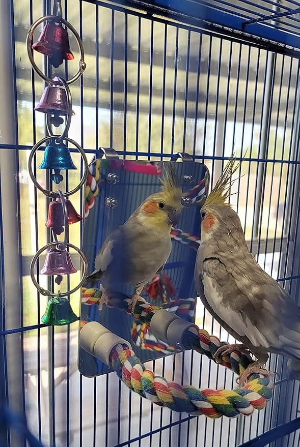 10.6" Bird Mirror with Rope Perch Bird Toys Swing, Comfy Perch for Greys Amazons Parakeet Cockatiel Conure Lovebirds Finch Canaries