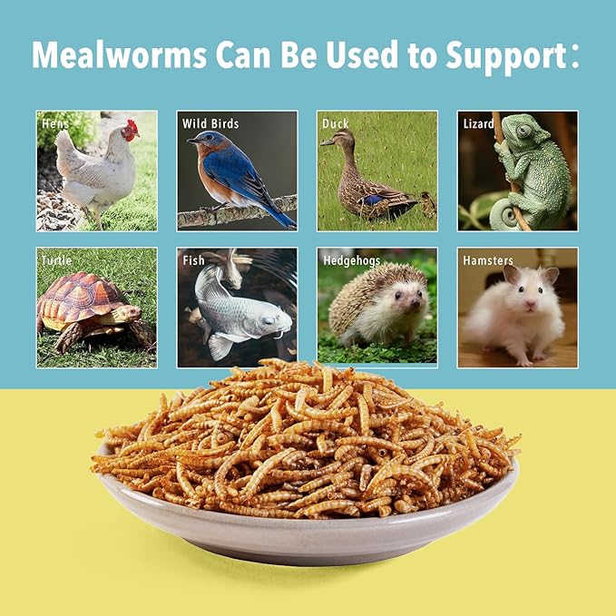 11lb Dried Mealworms for Chickens Snacks for Birds Bulk-Treats for Laying Hens(11 Pound)