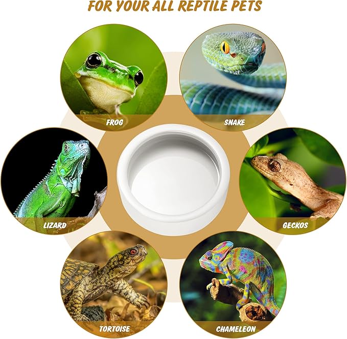 Worm Dish - Large 2 Pcs Reptile Food & Water Bowl for Lizard, Gecko, Chameleon, Hermit Crab, Bearded Dragon & More - Ceramic Anti-Escape Mini Reptile Feeder