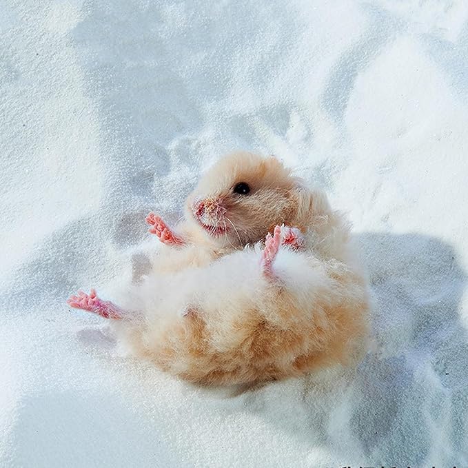 DR.DUDU Hamster Bath Sand, 12lb Dust Free Desert Sand or Potty Litter Sand for Hamster Chinchillas Gerbil Syrian Mice Small Animals (White)