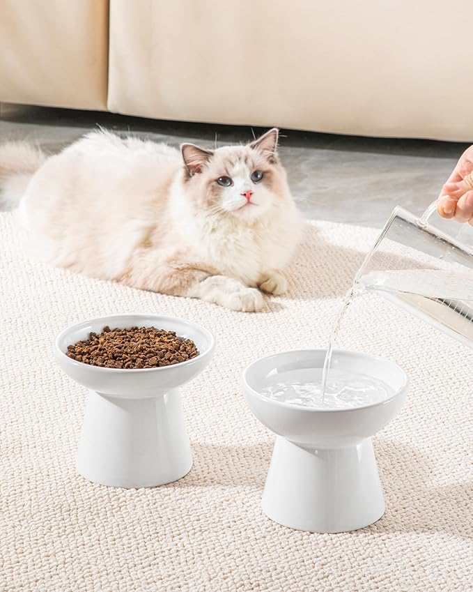 vancasso Elevated Cat Bowls 2-Pack, Ceramic Raised Cat Food and Water Dishes with 5.1" Height & 6.2" Wide Opening - Anti Vomit, Whisker Fatigue Relief for Senior Cats, Kittens and Small Dogs (White)