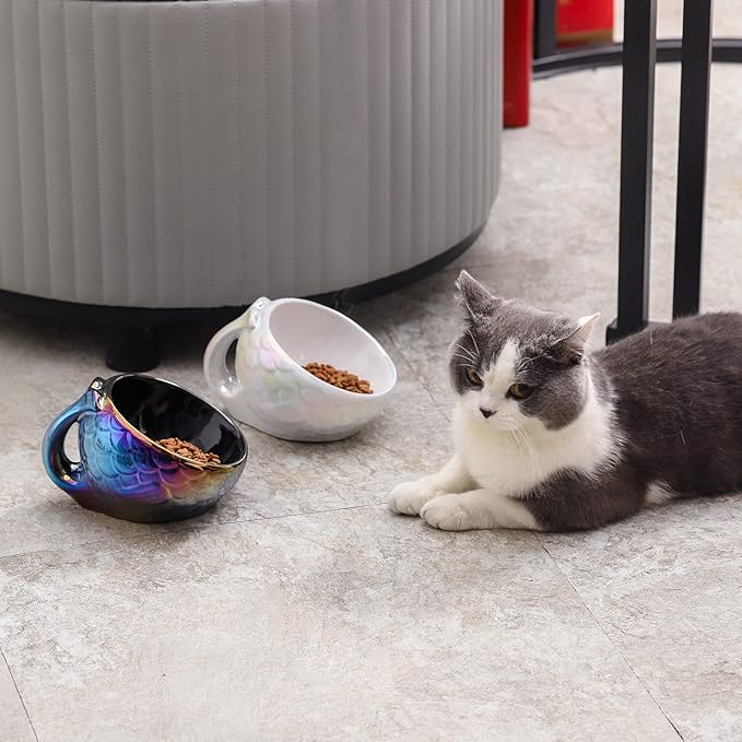 Nihow Cat Food Bowl: 5.7 Inch Ceramic Raised Cat Dish - Elevated Pet Bowl for Protecting Pet's Spine - Colorful White (4OZ /1 PC)