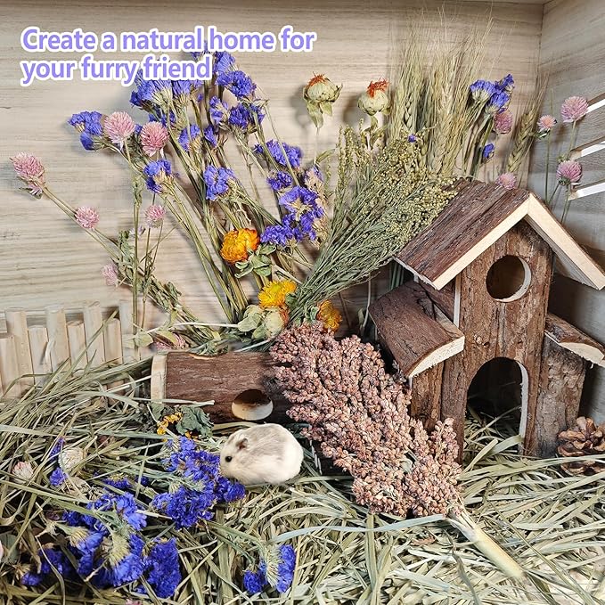 Natural Hamster Flower & Herb Habitat Deocr, Hamster Sprays Flowers Bedding Mate, Hamsters Cage Enrichment Decoration Accessories for Gerbil Dwarf Syrian Hamsters Guinea Pig Mice or Small Animals