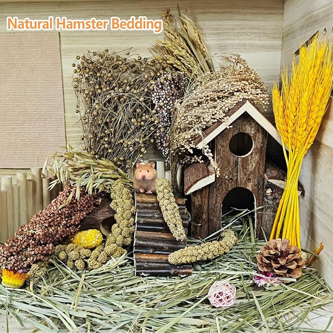 Natural Hamster Flower & Herb Habitat Deocr, Hamster Sprays Herbs Bedding Mate, Hamsters Cage Enrichment Decoration Accessories for Gerbil Dwarf Syrian Hamsters Mouse Guinea Pig Mice or Small Animals