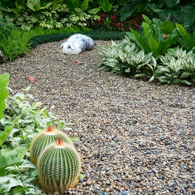 10 lbs Aquarium Gravel, 2-4mm Fish Tank Gravel, Succulent Cactus Pea Gravel for Indoor Plants, River Rocks for Gardening, Flower Pots, Vase Fillers, Garden Landscaping