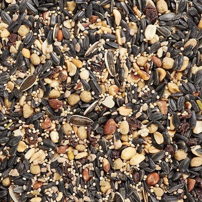 Kaytee Wild Bird Food, Fall Migration Seed Blend, 8 lb