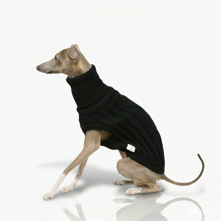 Dog Clothing & Apparel