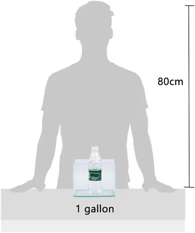 1 Gallon Aquarium Fish Tank，Rimless Aquarium Tank，7.8" L × 6.3" H × 5.5" W