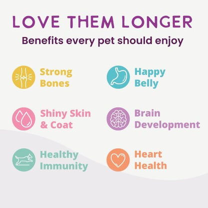 Health Extension Gently Cooked Chicken & Pumpkin Dog Food, Human-Grade & Shelf-Stable with Superfoods, Supports Digestion, Immunity, Skin & Coat, 9 oz Pouch (Pack of 1)